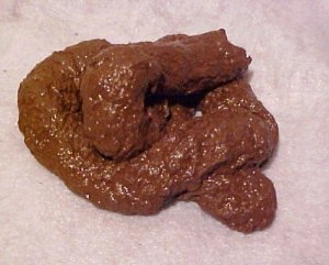 fake poop